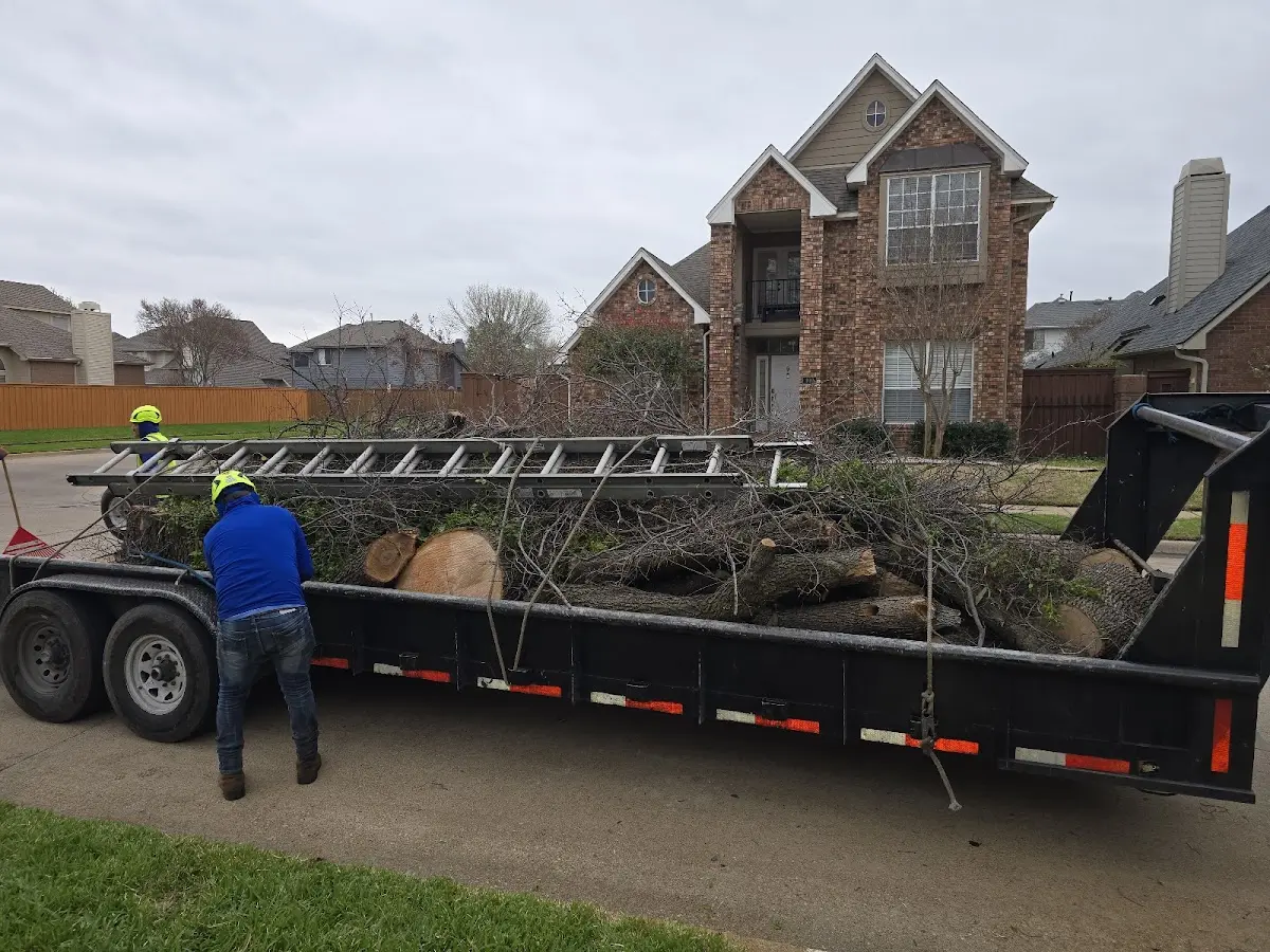 Expert Crown Reduction with proper safety equipment in Glenbrook